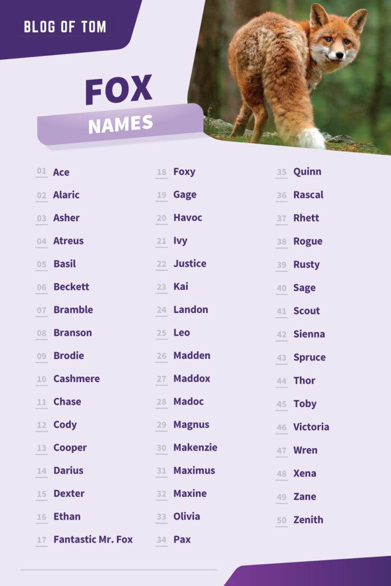 807+ Fox Names (BEST, Cute & Cool Ideas For 2024!)