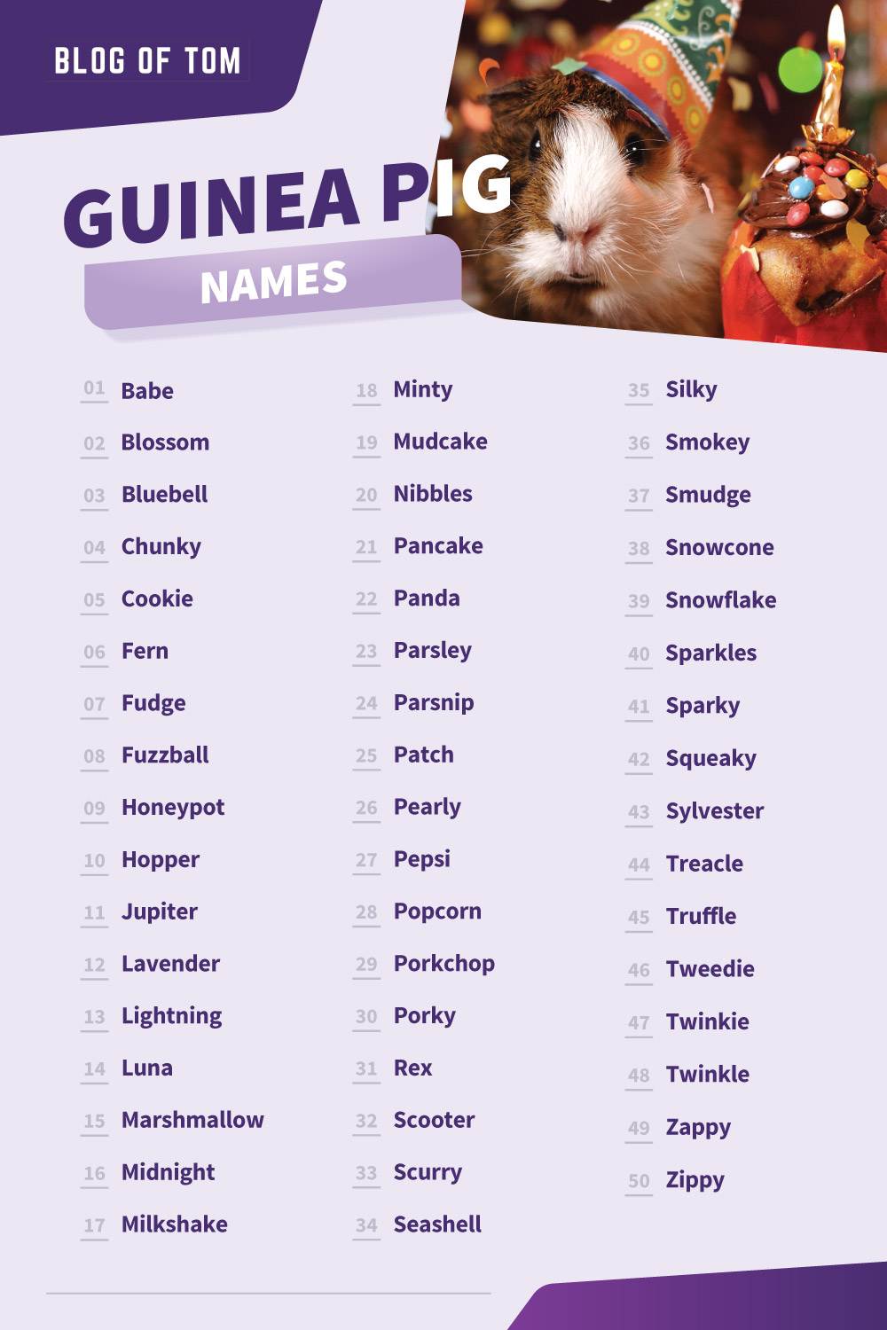 1000-guinea-pig-names-cute-funny-boy-girl-ideas