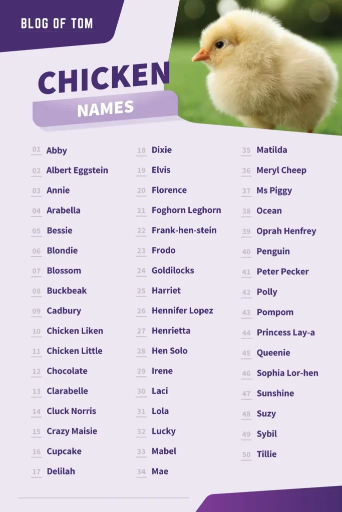 Chicken Names Infographic 683x1024.webp