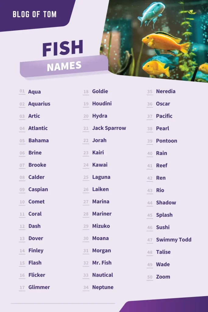 Fish Names (Cute, Cool & Funny Ideas For Males & Females)