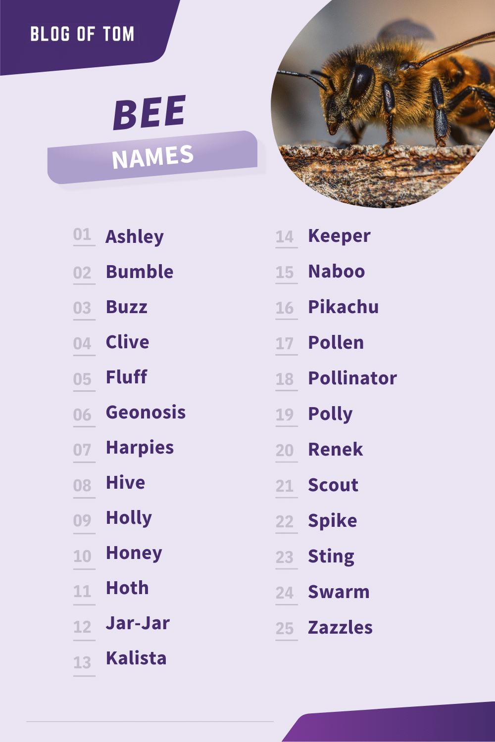 Bee Names 199 Best Cute Funny Naming Ideas 