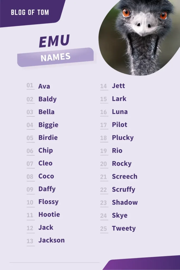 Preppy names for adopt me pets! in 2023  Cute pet names, Preppy names,  Cute adopt me pet names