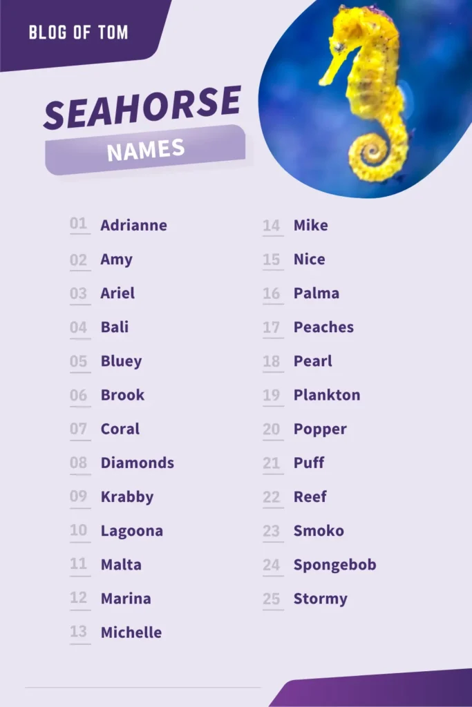 199+ Seahorse Names (Cute, Good & Famous Ideas)
