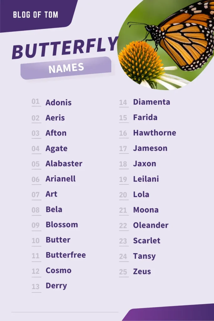 483 Butterfly Names Unique Good Cute Naming Ideas 