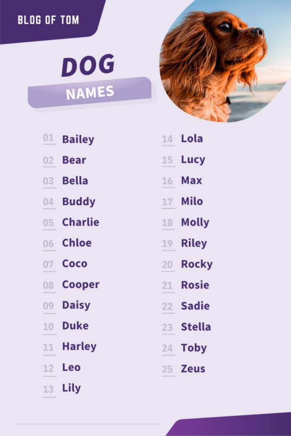 Dog Names Infographic 600x900 