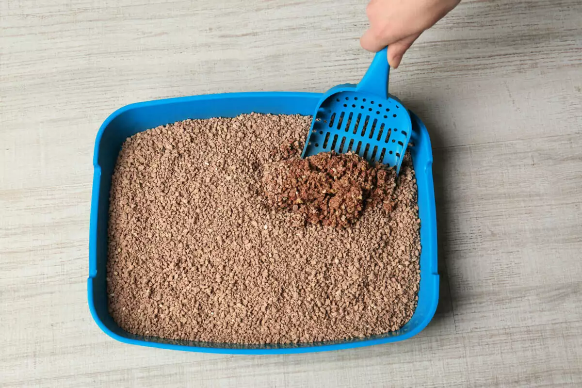 How Much Cat Litter Should I Put In The Litter Box?